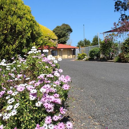 Colonial Motor Inn Pambula Extérieur photo
