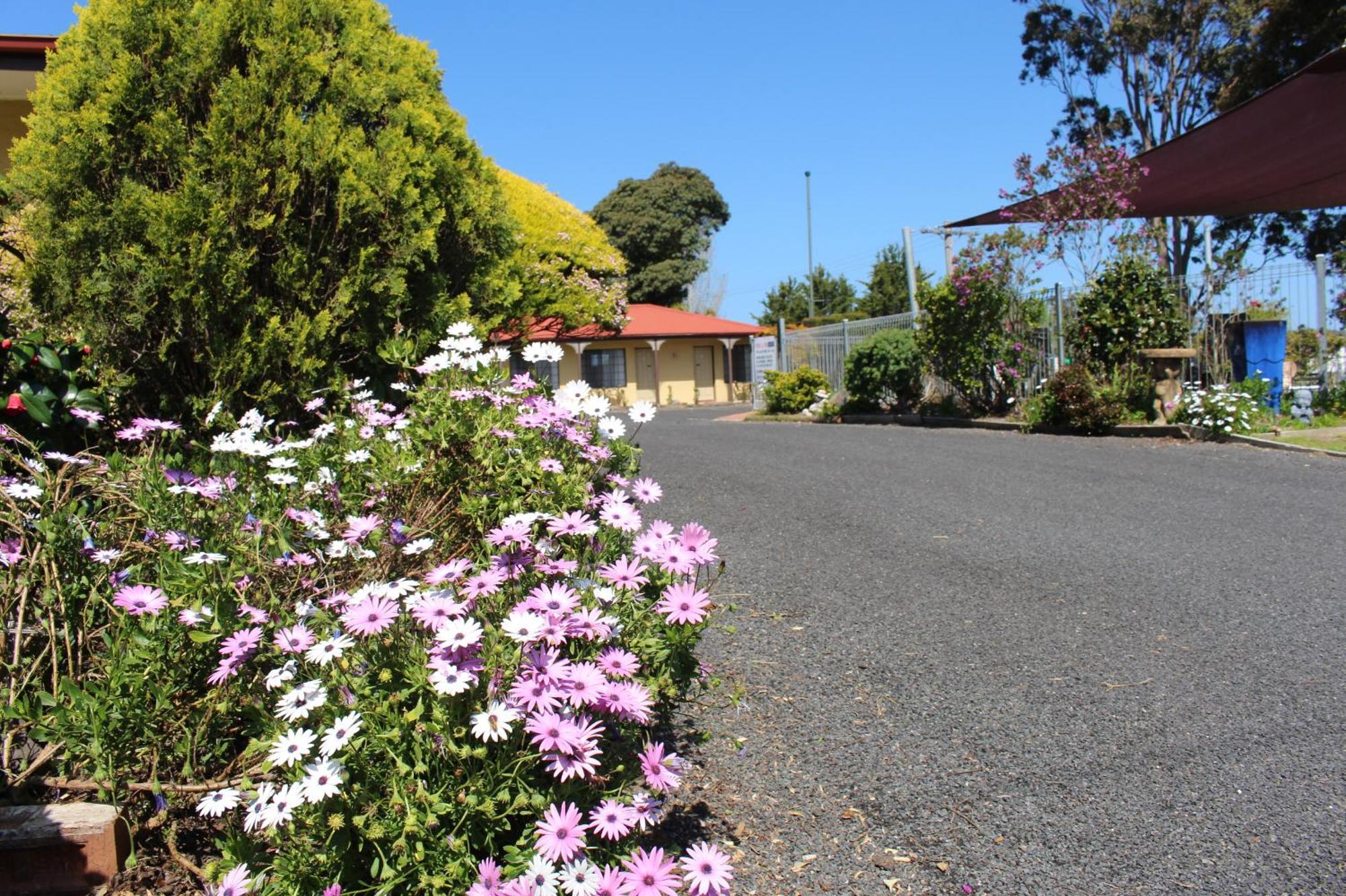Colonial Motor Inn Pambula Extérieur photo