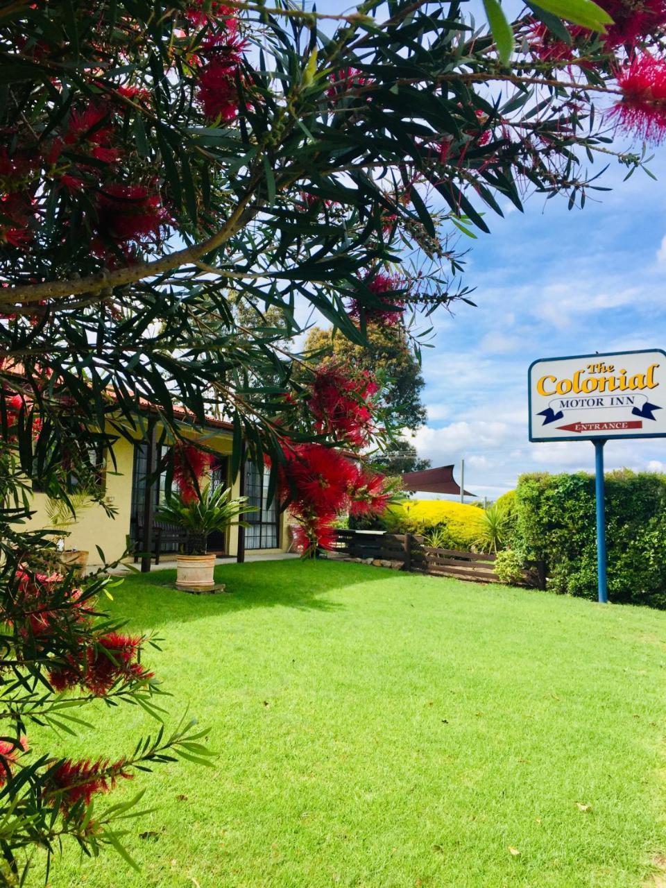 Colonial Motor Inn Pambula Extérieur photo