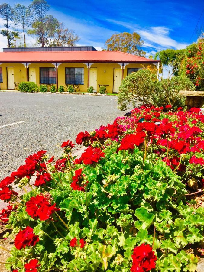 Colonial Motor Inn Pambula Extérieur photo